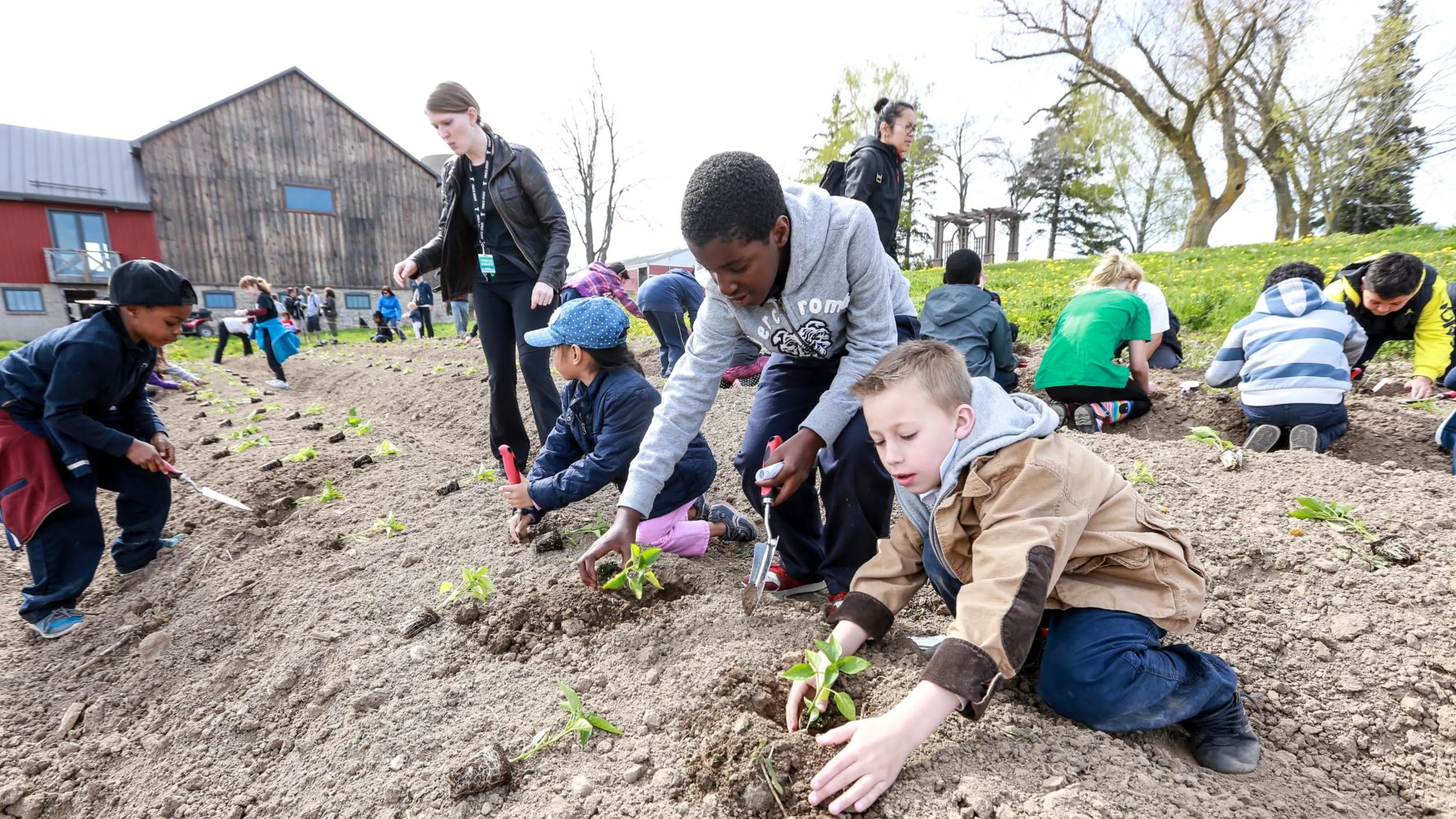 Kids planting in dirt